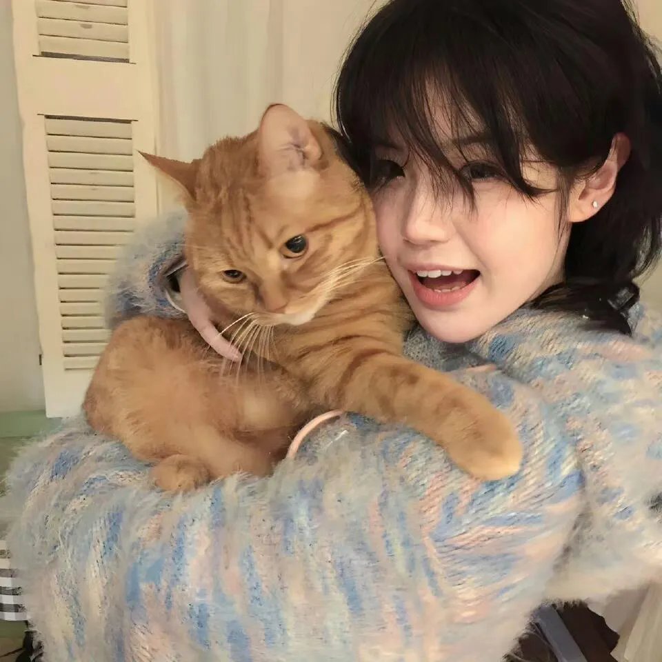 白莲花 在线观看